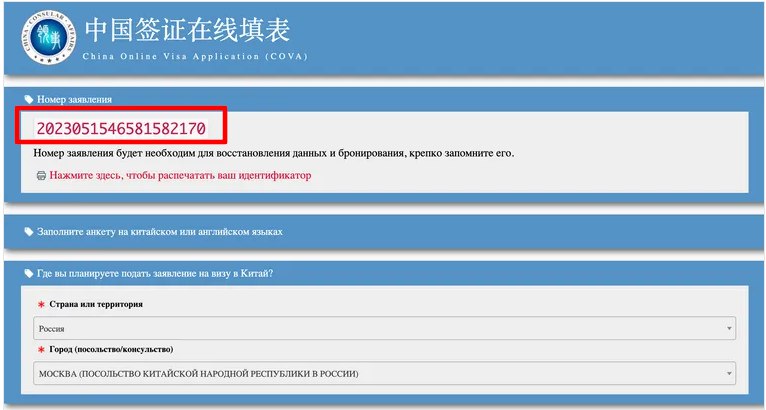 Вид анкеты Visa Applications from of the People's Republic of China