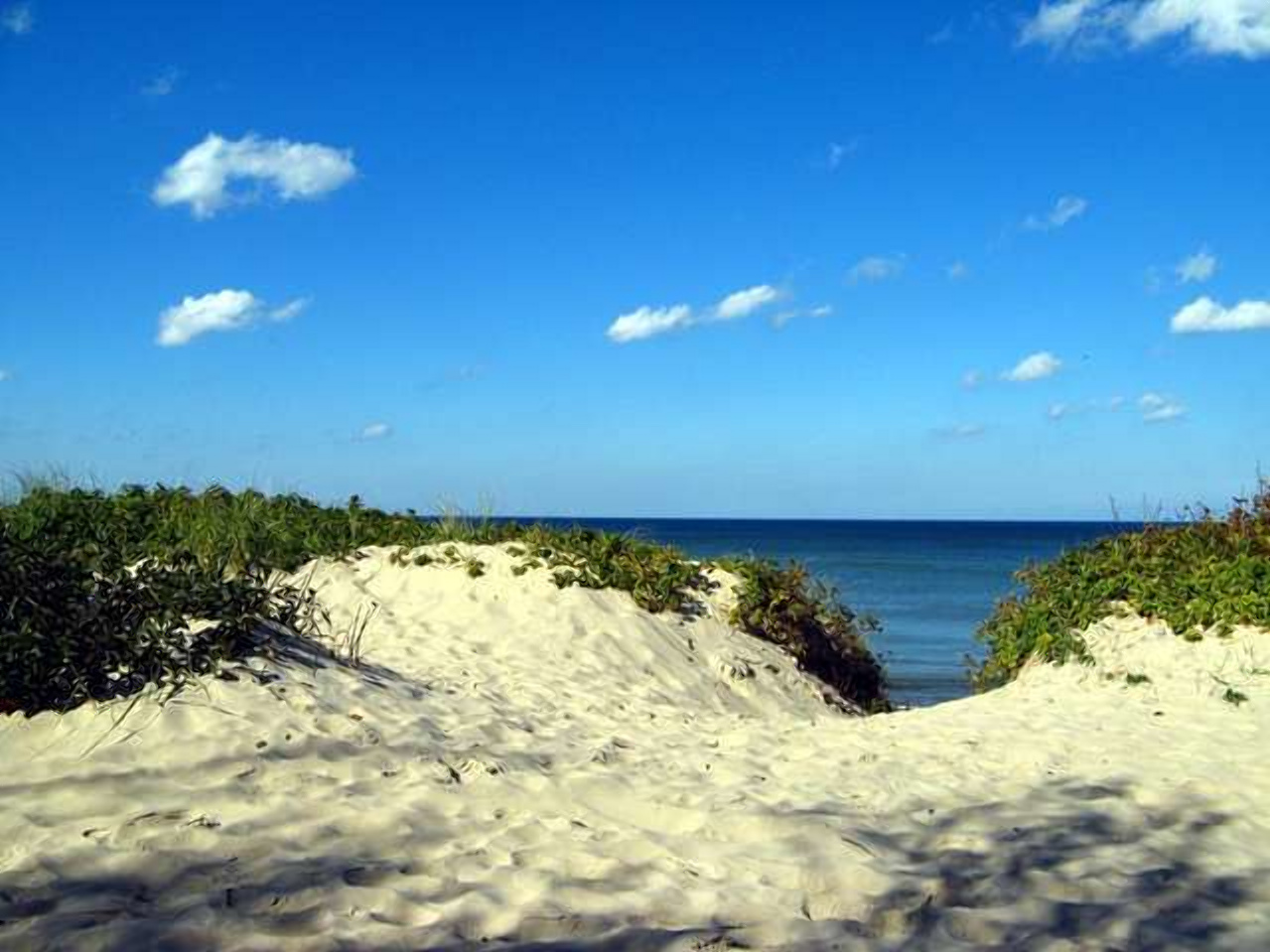 Зеленоградский пляж