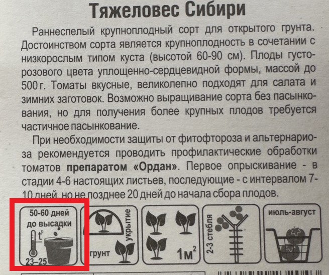Инструкция по посадке томата «Тяжеловес Сибири»