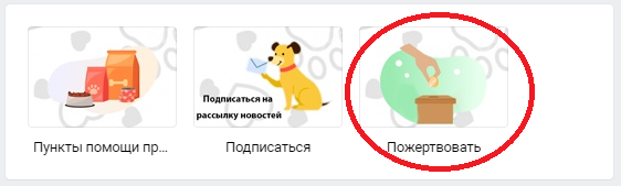 пожертвование приюту через группу Вконтакте